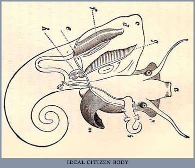citizen body